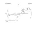 DUOCARMYCIN ADCS SHOWING IMPROVED IN VIVO ANTITUMOR ACTIVITY diagram and image