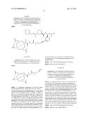 METAL CHELATE COMPOUNDS FOR BINDING TO THE PLATELET SPECIFIC GLYCOPROTEIN     IIB/IIIA diagram and image