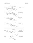 TAU IMAGING PROBE diagram and image