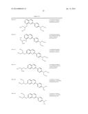 TAU IMAGING PROBE diagram and image