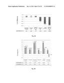 RESORBABLE MEMBRANE FOR GUIDED BONE REGENERATION diagram and image