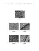 DRUG COATING LAYER, METHOD OF CONTROLLING MORPHOLOGICAL FORM OF DRUG     COATING LAYER, MEDICAL DEVICE, AND METHOD OF DELIVERING DRUG diagram and image