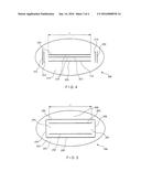 Pressure Actuated Valve with Improved Biasing Member diagram and image