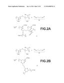 METHOD FOR PRODUCING ACID GAS SEPARATION COMPOSITE MEMBRANE, AND ACID GAS     SEPARATION MEMBRANE MODULE diagram and image