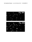 DEVICES AND METHODS FOR PRODUCING AND ANALYZING MICROARRAYS diagram and image