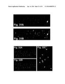 DEVICES AND METHODS FOR PRODUCING AND ANALYZING MICROARRAYS diagram and image