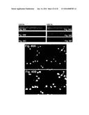 DEVICES AND METHODS FOR PRODUCING AND ANALYZING MICROARRAYS diagram and image