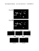 DEVICES AND METHODS FOR PRODUCING AND ANALYZING MICROARRAYS diagram and image