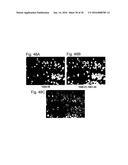 DEVICES AND METHODS FOR PRODUCING AND ANALYZING MICROARRAYS diagram and image