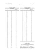 BENZAMIDE DERIVATIVE USEFUL AS FASN INHIBITORS FOR THE TREATMENT OF CANCER diagram and image