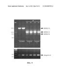 ANTICANCER COMPOUNDS diagram and image