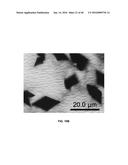 Ultrastable Silver Nanoparticles diagram and image