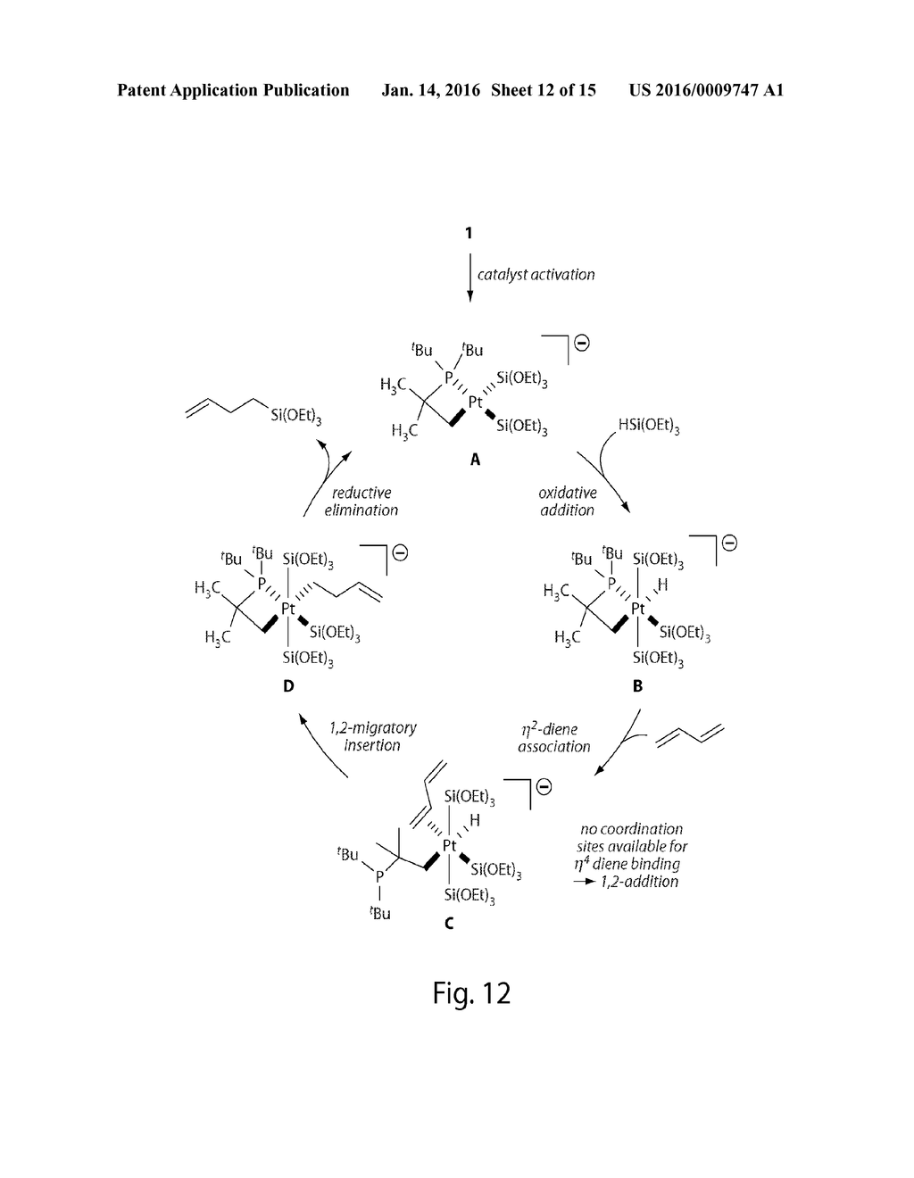 PLATINUM METALLACYCLES COMPRISING N, P, OR AS RINGATOMS AND THEIR USE AS     CATALYSTS IN 1,2-HYDROSILYLATION REACTIONS OF DIENES - diagram, schematic, and image 13