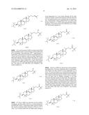 Commands and method of treating cancer via RHO pathway diagram and image