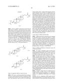 Commands and method of treating cancer via RHO pathway diagram and image