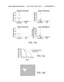 Methods For Manipulating Phagocytosis Mediated By CD47 diagram and image