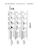 DOSAGE AND ADMINISTRATION OF ANTI-EGFR THERAPEUTICS diagram and image