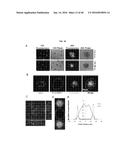 Methods of Patterning Cells on a Surface of a Substrate and Programmed     Assembly of Three-Dimensional Living Tissues diagram and image