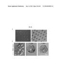 Methods of Patterning Cells on a Surface of a Substrate and Programmed     Assembly of Three-Dimensional Living Tissues diagram and image