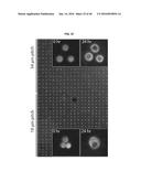 Methods of Patterning Cells on a Surface of a Substrate and Programmed     Assembly of Three-Dimensional Living Tissues diagram and image