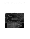 Methods of Patterning Cells on a Surface of a Substrate and Programmed     Assembly of Three-Dimensional Living Tissues diagram and image