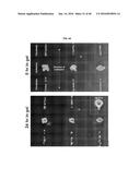 Methods of Patterning Cells on a Surface of a Substrate and Programmed     Assembly of Three-Dimensional Living Tissues diagram and image