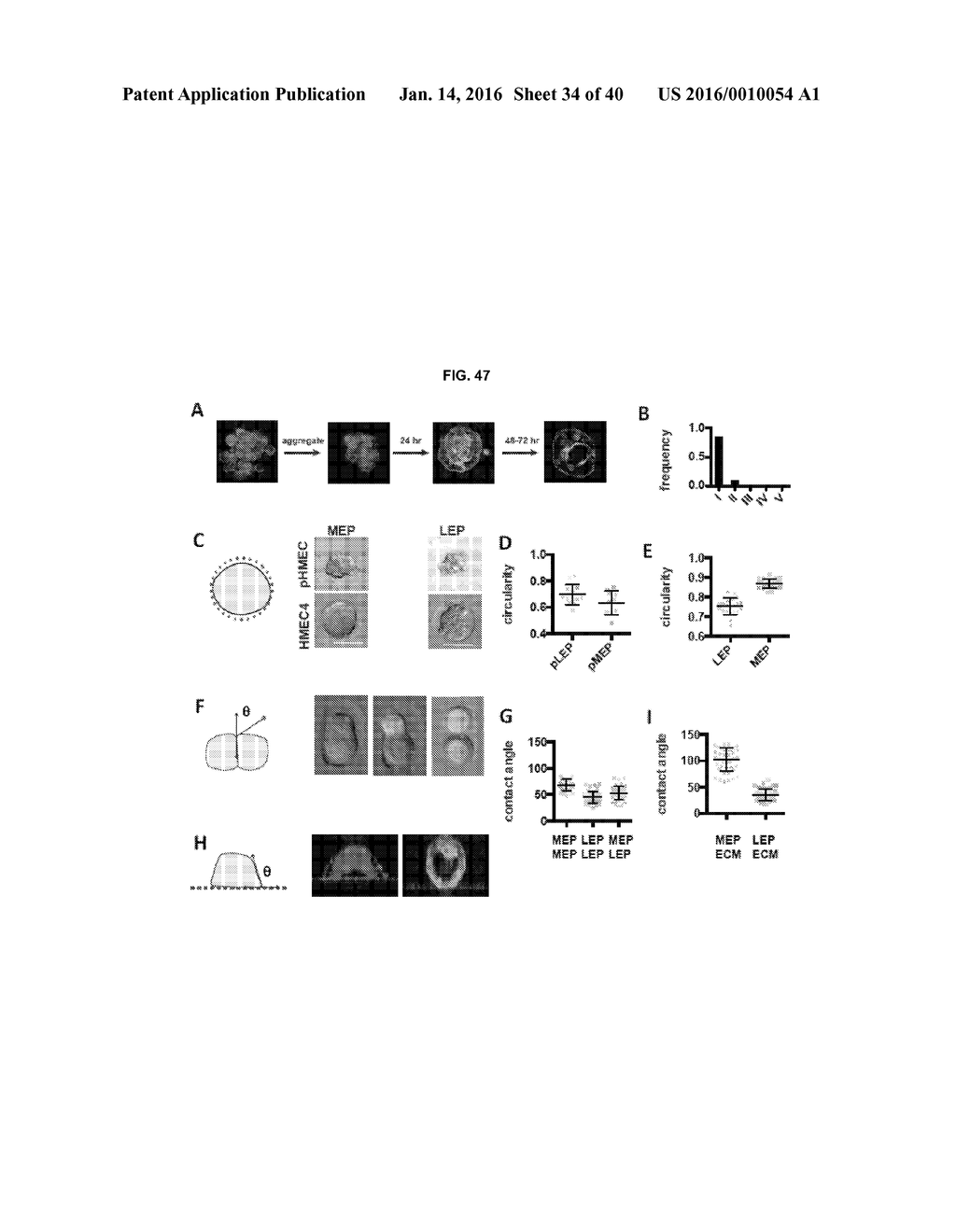 Methods of Patterning Cells on a Surface of a Substrate and Programmed     Assembly of Three-Dimensional Living Tissues - diagram, schematic, and image 35