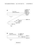 Isolated Spodoptera Frugiperda Multiple Nucleopolyhedroviruses and Methods     for Killing Insects diagram and image
