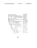 Novel Ketoacyl ACP Synthase Genes and Uses Thereof diagram and image