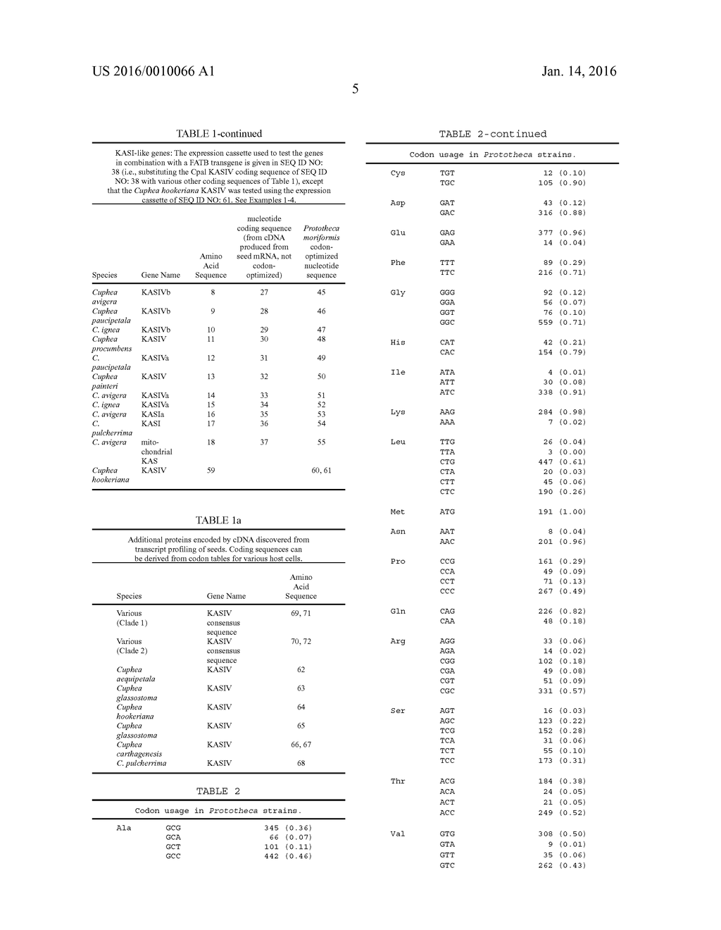 Novel Ketoacyl ACP Synthase Genes and Uses Thereof - diagram, schematic, and image 07