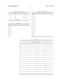 Novel Ketoacyl ACP Synthase Genes and Uses Thereof diagram and image