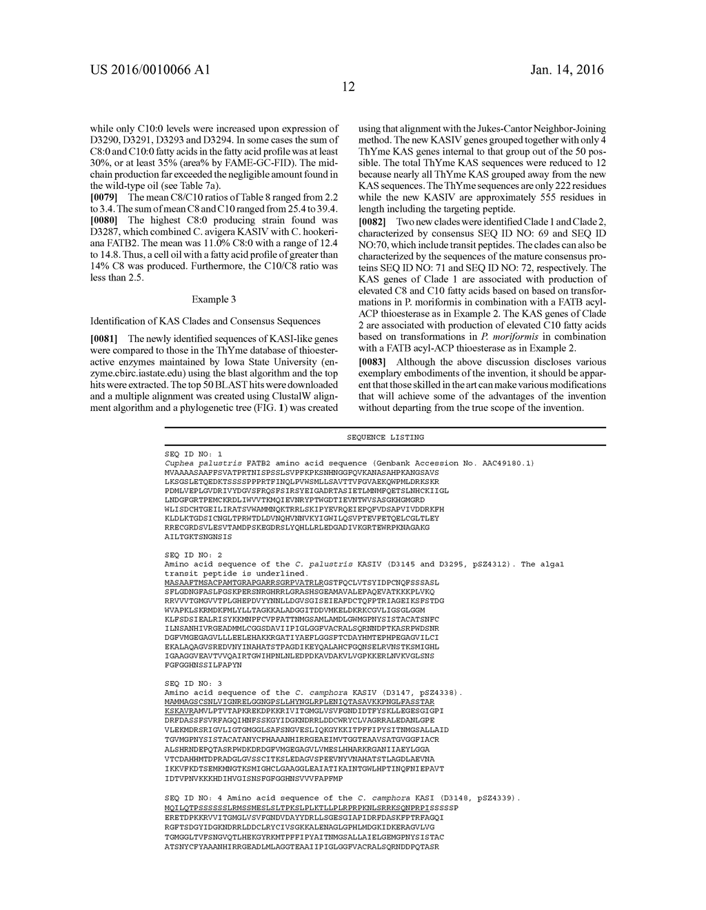 Novel Ketoacyl ACP Synthase Genes and Uses Thereof - diagram, schematic, and image 14