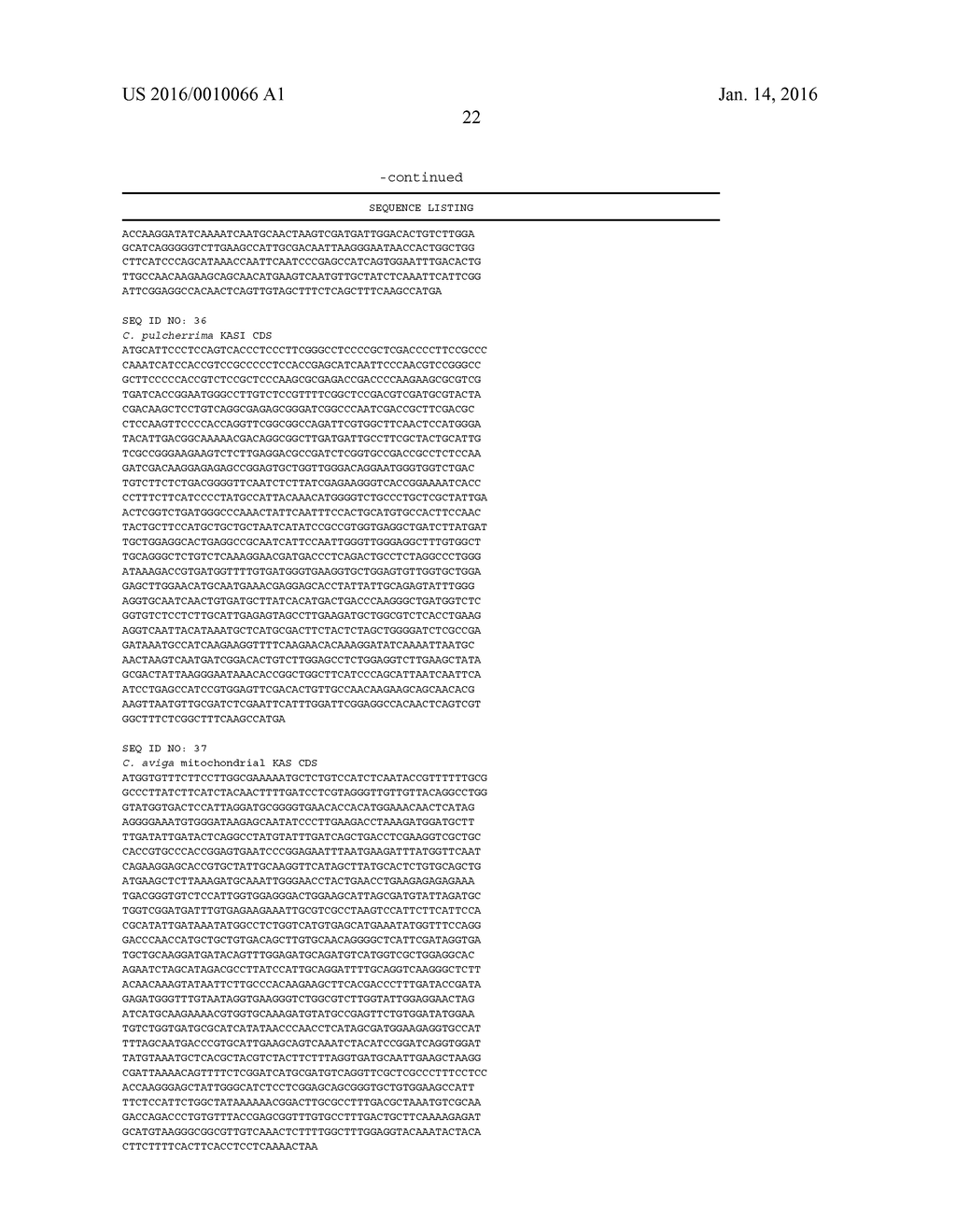 Novel Ketoacyl ACP Synthase Genes and Uses Thereof - diagram, schematic, and image 24