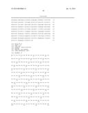 Novel Ketoacyl ACP Synthase Genes and Uses Thereof diagram and image