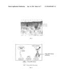 NOVEL POLY(ADP-RIBOSE) POLYMERASE GENES diagram and image