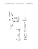 NOVEL POLY(ADP-RIBOSE) POLYMERASE GENES diagram and image