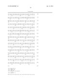 NOVEL POLY(ADP-RIBOSE) POLYMERASE GENES diagram and image