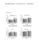 LOCKED NUCLEIC ACID INHIBITOR MIR-145 AND USES THEREOF diagram and image