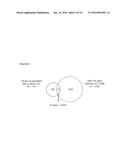 LOCKED NUCLEIC ACID INHIBITOR MIR-145 AND USES THEREOF diagram and image