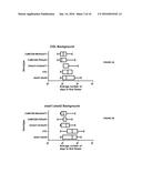 PLANTS HAVING ENHANCED NITROGEN USE EFFICIENCY AND METHODS OF PRODUCING     SAME diagram and image