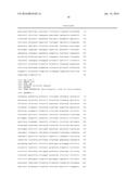 PLANTS HAVING ENHANCED NITROGEN USE EFFICIENCY AND METHODS OF PRODUCING     SAME diagram and image