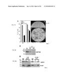 STRESS TOLERANT PLANTS diagram and image