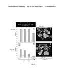 STRESS TOLERANT PLANTS diagram and image