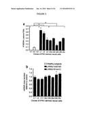 SCREENING ASSAYS FOR THERAPEUTICS FOR PARKINSON S DISEASE diagram and image