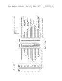 APPARATUS AND METHOD FOR CALCULATING AIMING POINT INFORMATION diagram and image