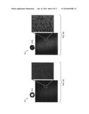 Laser Speckle Photography for Surface Tampering Detection diagram and image