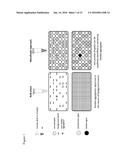 ASSAY FOR POLYPEPTIDE AGGREGATION USING MICRODROPLETS diagram and image