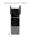 ASSAY FOR POLYPEPTIDE AGGREGATION USING MICRODROPLETS diagram and image