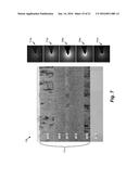 ELECTROCHROMIC DEVICES diagram and image