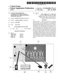 SYSTEM AND METHOD FOR CONTROLLING DIVIDED SCREENS INDEPENDENTLY THROUGH     MAPPING WITH INPUT DEVICES diagram and image